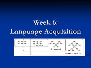 Week 6: Language Acquisition
