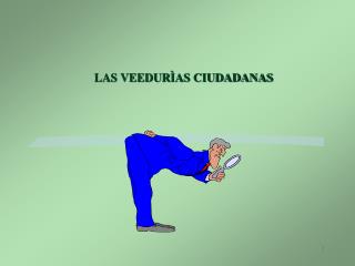 LAS VEEDURÌAS CIUDADANAS