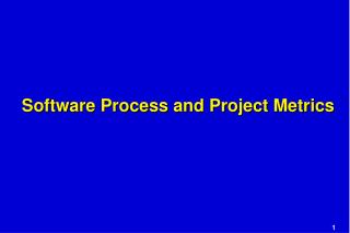 Software Process and Project Metrics