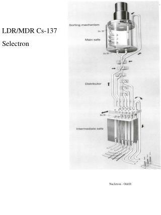 LDR/MDR Cs-137 Selectron