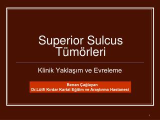 Superior Sulcus Tümörleri
