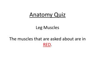 Anatomy Quiz Leg Muscles The muscles that are asked about are in RED .