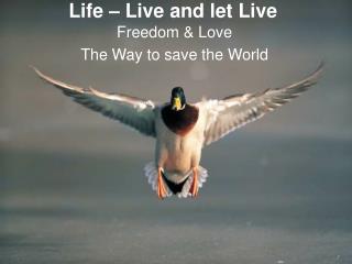 Life – Live and let Live