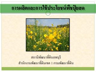 การผลิตและการใช้ประโยชน์พืชปุ๋ยสด