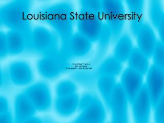 Louisiana State University