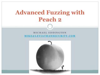 Advanced Fuzzing with Peach 2