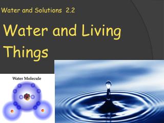 Water and Solutions 2.2