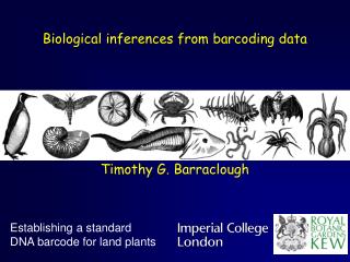 Biological inferences from barcoding data Timothy G. Barraclough