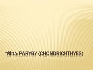 třída: Paryby ( Chondrichthyes )