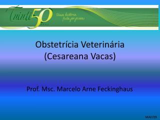 Obstetrícia Veterinária (Cesareana Vacas)