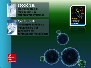 Sección II. Bioenergética y el metabolismo de carbohidratos y lípidos