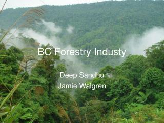 BC Forestry Industy