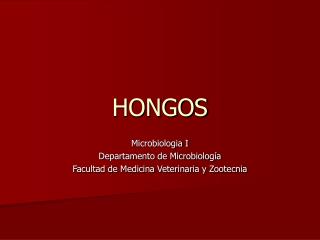 HONGOS