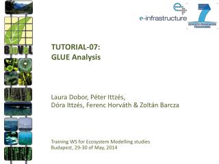 TUTORIAL-07: GLUE Analysis