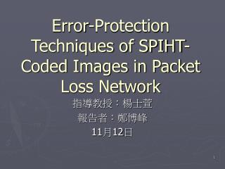 Error-Protection Techniques of SPIHT-Coded Images in Packet Loss Network