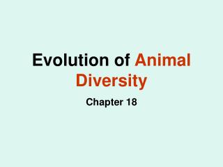 Evolution of Animal Diversity