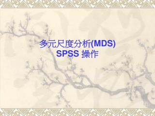 多元尺度分析 (MDS) SPSS 操作