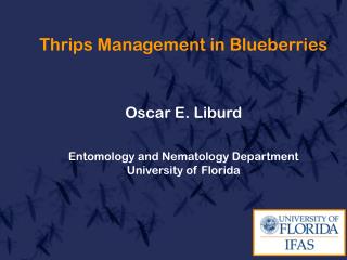 Thrips Management in Blueberries Oscar E. Liburd Entomology and Nematology Department