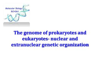 The genome of prokaryotes and eukaryotes- nuclear and extranuclear genetic organization