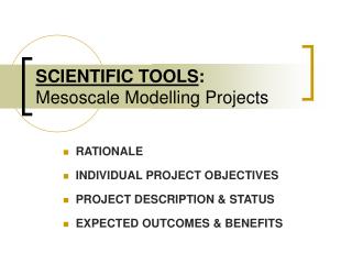 SCIENTIFIC TOOLS : Mesoscale Modelling Projects