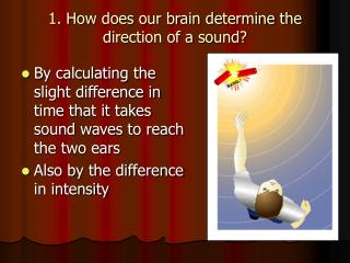 1. How does our brain determine the direction of a sound?