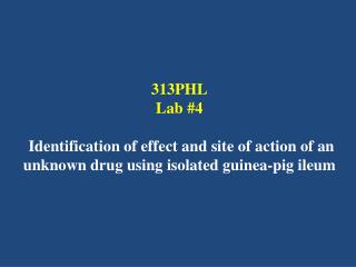 Why Guinea pig ileum is used?