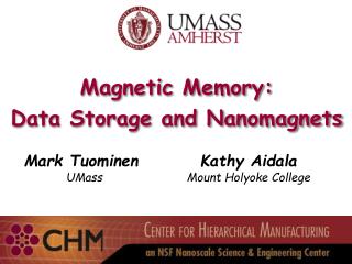 Magnetic Memory: Data Storage and Nanomagnets