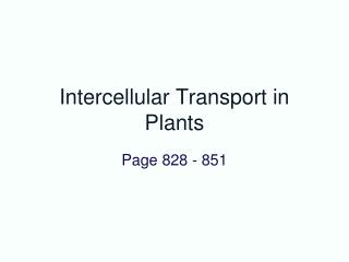 Intercellular Transport in Plants