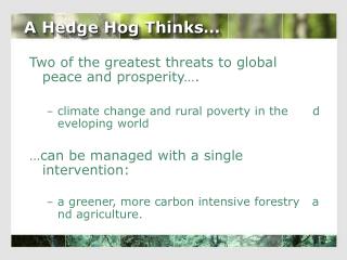 A Hedge Hog Thinks…