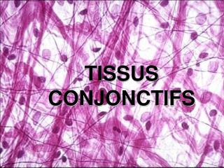 TISSUS CONJONCTIFS