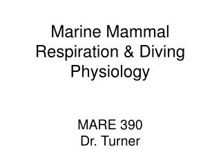 Marine Mammal Respiration &amp; Diving Physiology MARE 390 Dr. Turner