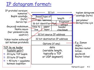 IP datagram format ı