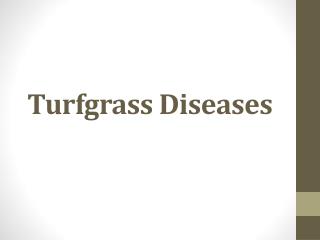 Turfgrass Diseases