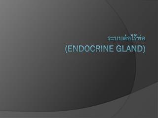 ระบบต่อไร้ท่อ (Endocrine gland)