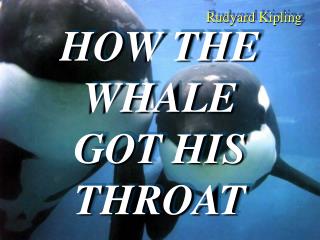 HOW THE WHALE GOT HIS THROAT