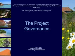 The Project Governance