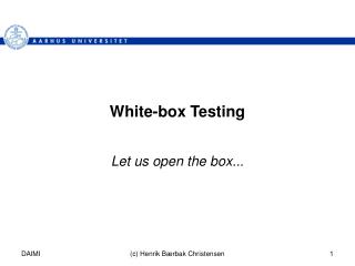 White-box Testing