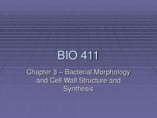 BIO 411