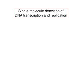 Single-molecule detection of DNA transcription and replication