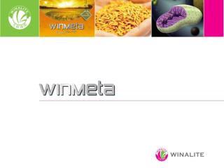 WinMeta Research Findings