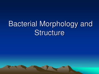 Bacterial Morphology and Structure