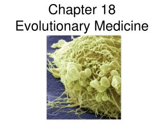 Chapter 18 Evolutionary Medicine