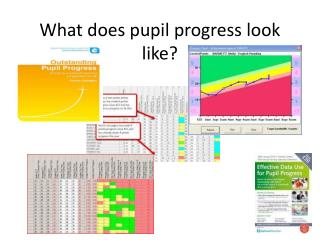 What does pupil progress look like?