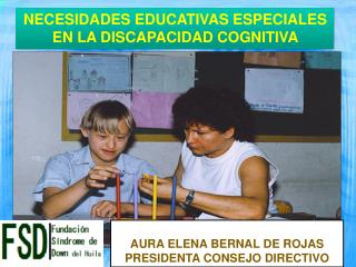 NECESIDADES EDUCATIVAS ESPECIALES EN LA DISCAPACIDAD COGNITIVA