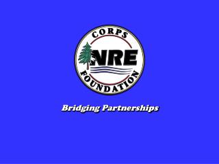 Bridging Partnerships