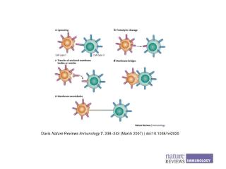 Davis Nature Reviews Immunology 7 , 238 –243 (March 2007) | doi:10.1038/nri2020
