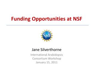 Funding Opportunities at NSF