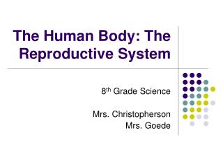 The Human Body: The Reproductive System