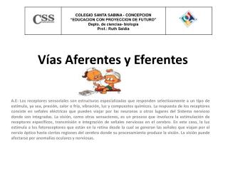 Vías Aferentes y Eferentes