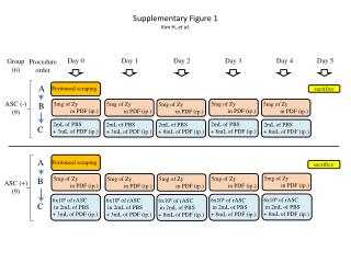 Supplementary Figure 1 Kim H, et al.